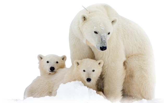 100% Home Loans No Deposit South Africa