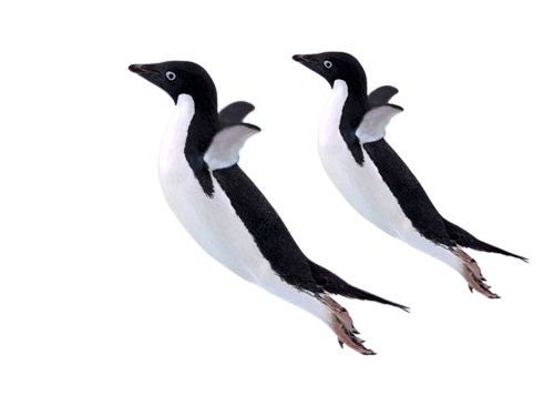 Pre-Approval Bond South Africa